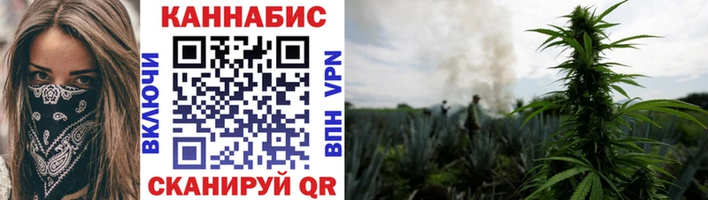 купить наркоту  Тайга  omg онион  площадка как зайти  Каннабис сатива 